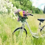 In Ko Obrzeg Near Baltic * Kołobrzeg